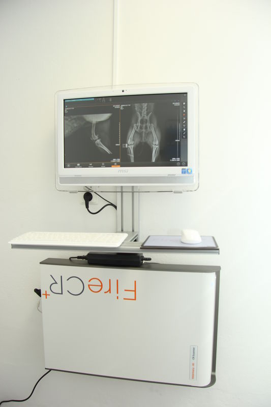 Foto digitálního rentgenu